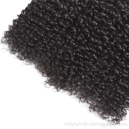 Human Hair Supplier Curly Wave Hair Wig Indian Human Hair  Extension Double Drawn Weft